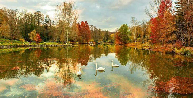 İSTANBULDA PEYZAJ - ATATÜRK ARBORETUMUNDA RENKLERİN MASALI 